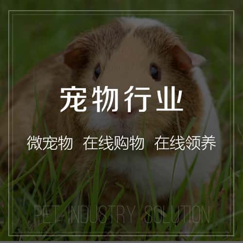 贵港宠物