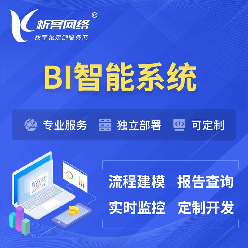 贵港BI智能系统 | BI数据可视化